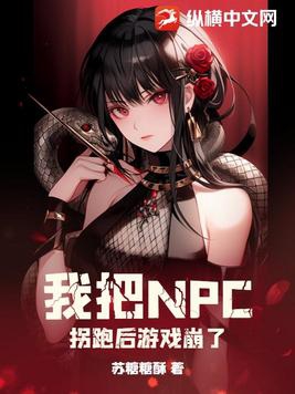 �Ұ�NPC���ܺ���Ϸ����