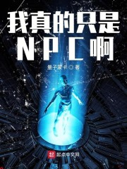 �����ֻ��NPC��