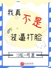 ���治��װ�ƴ���