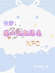�촩����ֹ����Ư��npc