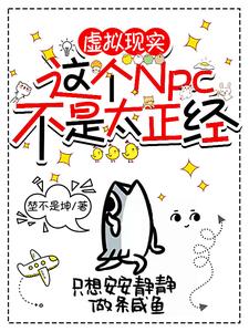 ������ʵ�����NPC����̫����