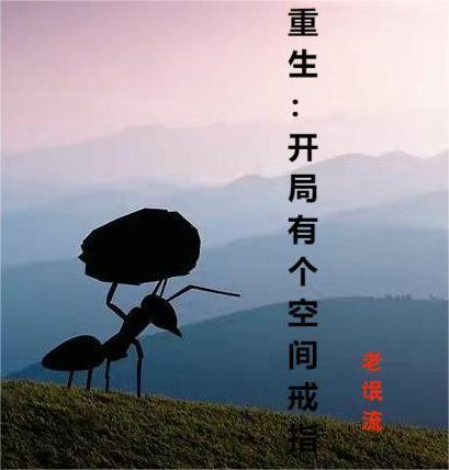 �����������и��ռ��ָ