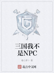 �����Ҳ���NPC