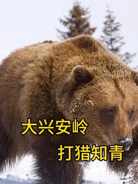 ���˰������֪��