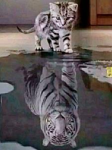 ����֮Զ��