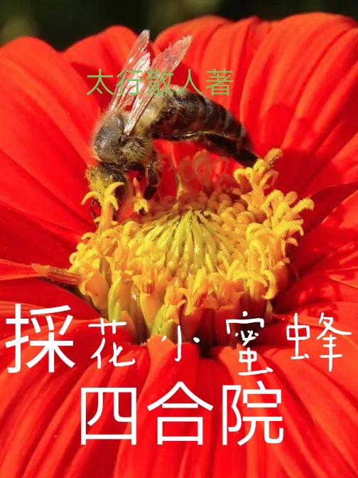 �ɻ�С�۷�֮�ĺ�Ժ